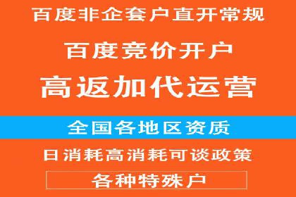 SEM代理案例：从零到一，见证品牌崛起